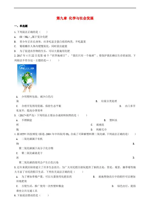 九年级化学下册 第九章 化学与社会发展测试 沪教版