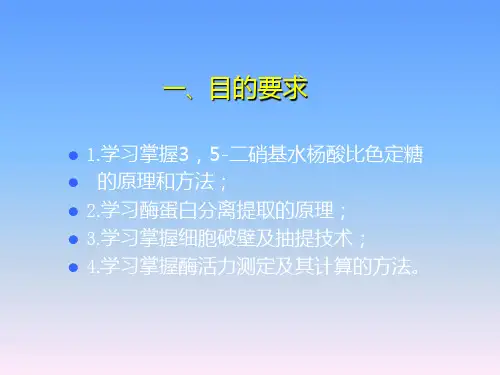 蔗糖酶的分离提取及活力测定