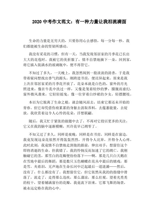 2020中考作文范文：有一种力量让我泪流满面