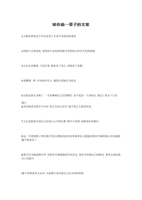 够你偷一辈子的文案
