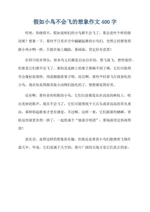 假如小鸟不会飞的想象作文400字