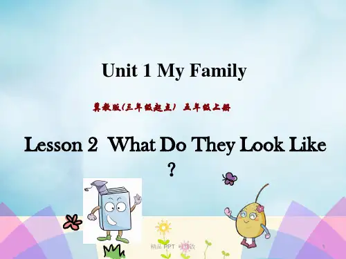冀教版五年级英语上册Unit1MyFamilyLesson2WhatDoTheyLookLike课件