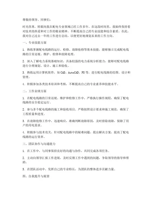配电专业技师个人工作总结
