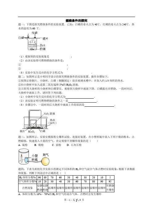 中考化学经典题型专题练习之燃烧条件的探究