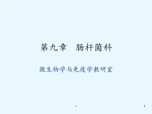 微肠杆菌科弧菌螺旋菌属PPT课件