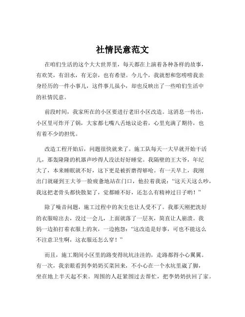 社情民意范文