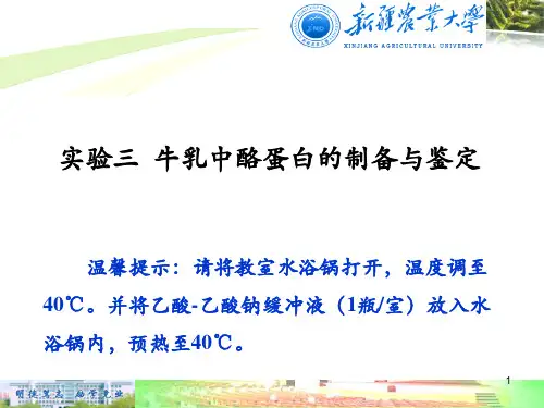 实验三 牛乳中酪蛋白的制备与鉴定