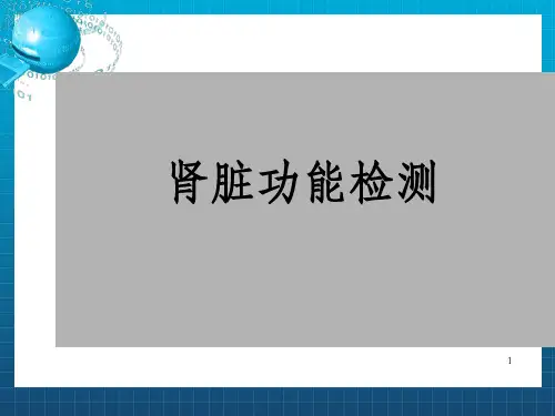《肾功能检测》PPT课件