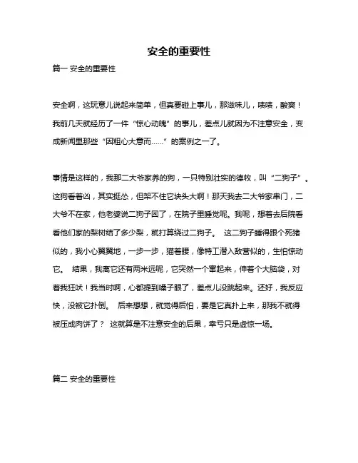 作文《安全的重要性》