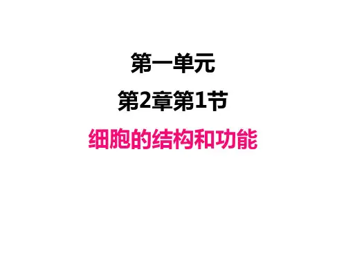 初中生物济南版七年级上册教学课件 细胞的结构和功能