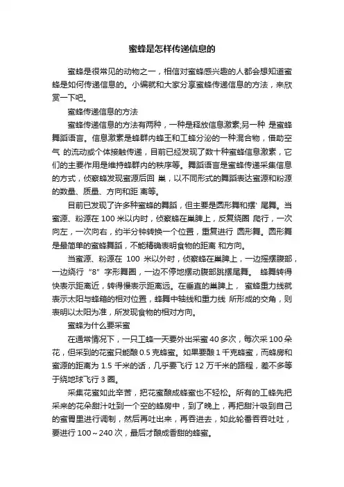 蜜蜂是怎样传递信息的