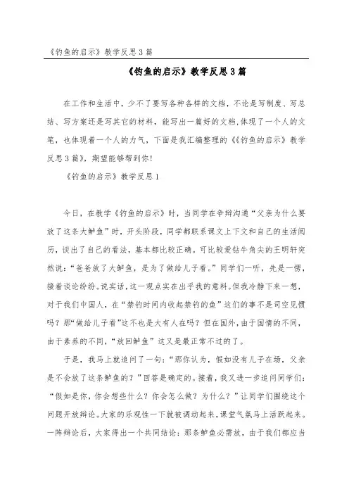 《钓鱼的启示》教学反思3篇