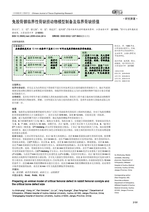 兔股骨髁临界性骨缺损动物模型制备及临界骨缺损值