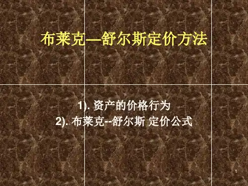 布莱克—舒尔斯定价PPT课件