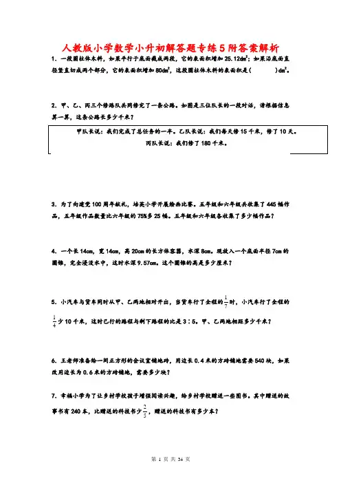 小升初解答题专练(试题)人教版六年级下册数学 (2)