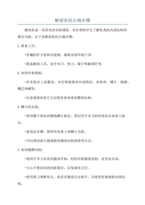 解剖鱼的正确步骤