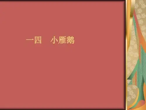 语文：第14课《小雁鹅》课件(长春版七年级下)(201909)