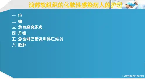 外科感染病人的护理 PPT课件