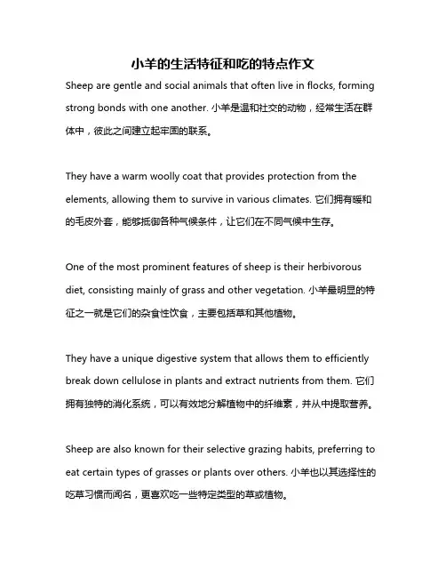 小羊的生活特征和吃的特点作文