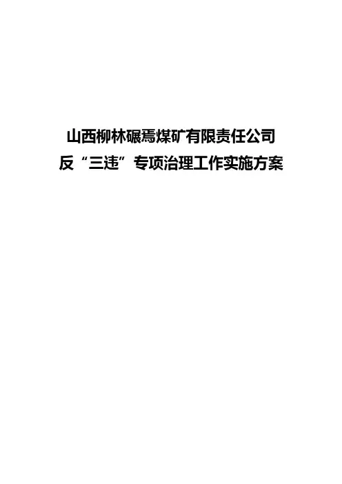 “反三违”实施方案(1)