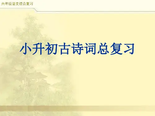 小升初语文 古诗词复习 教学PPT课件
