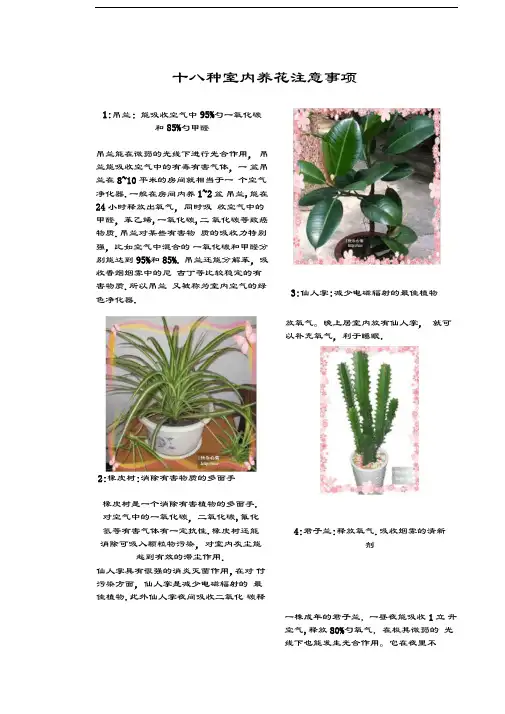 十八种室内养花注意事项