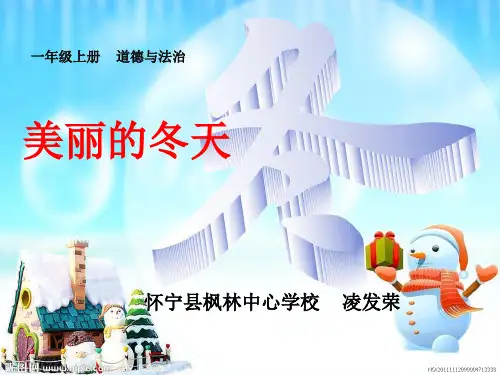 【部编版】一年级上册道德与法治《美丽的冬天》精讲课件1