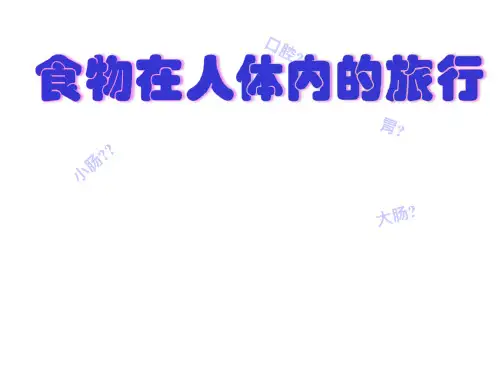 科学课件《食物在体内的旅行》精品PPT课件5