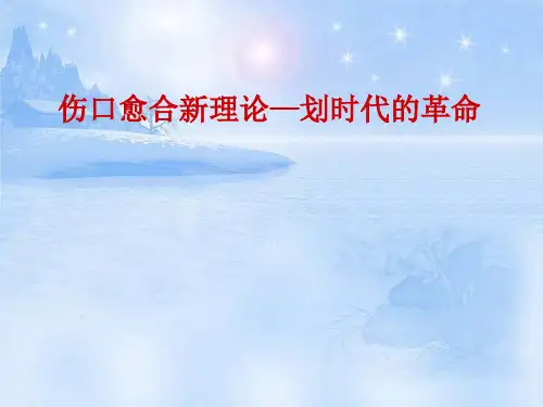 伤口湿性愈合理论ppt课件