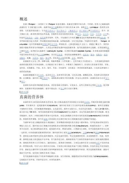 真菌知识——精选推荐
