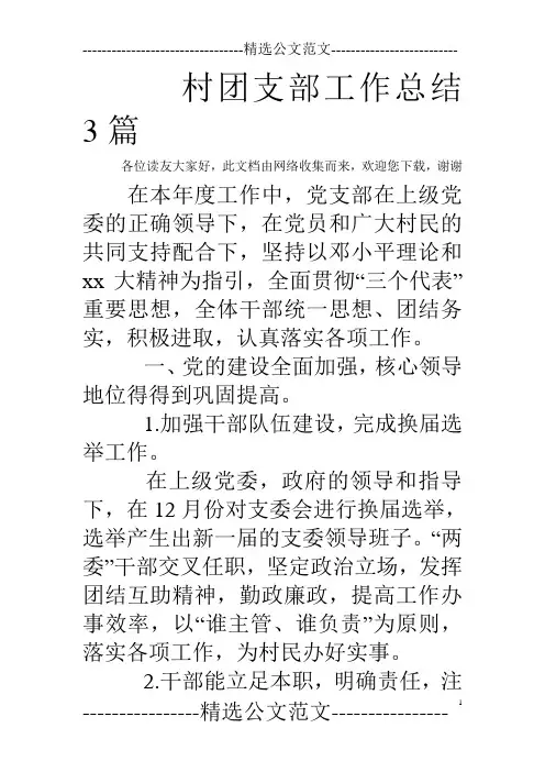 村团支部工作总结3篇