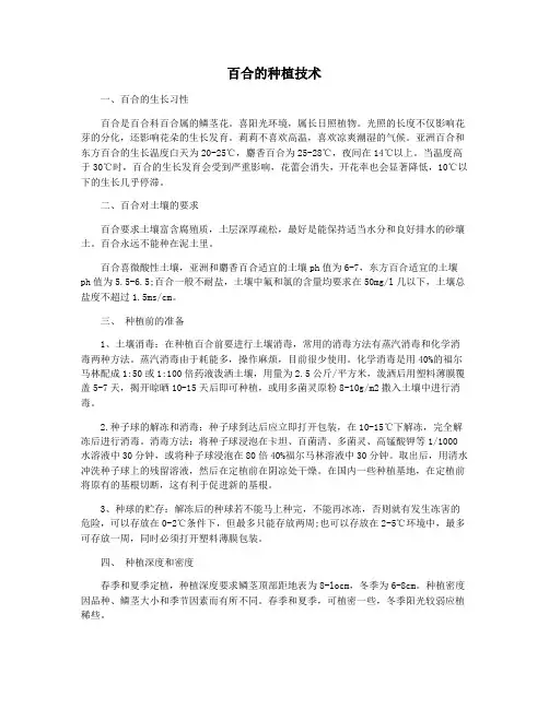 百合的种植技术