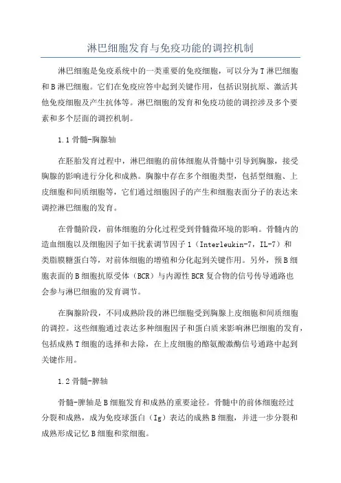 淋巴细胞发育与免疫功能的调控机制