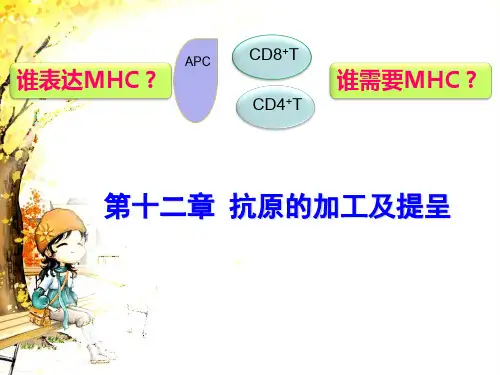 医学免疫学PPT第十二章 抗原递呈细胞与抗原的处理及提呈课件