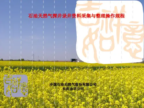 石油天然气探井录井资料采集与整理操作规程