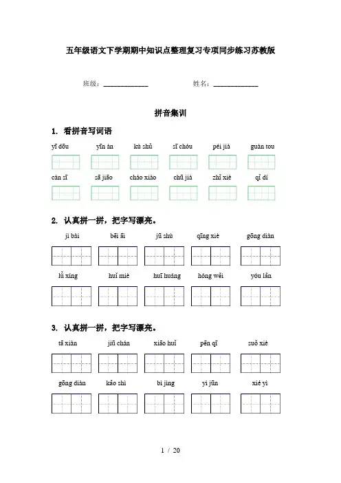 五年级语文下学期期中知识点整理复习专项同步练习苏教版