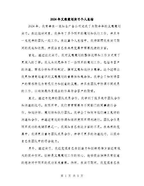 2024年文案策划实习个人总结(二篇)