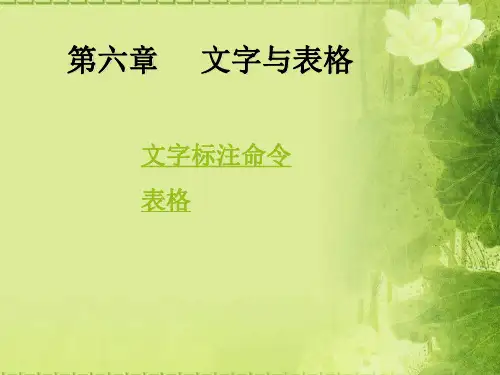 CAD文字与表格