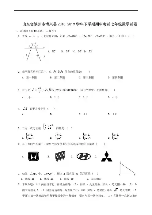 山东省滨州市博兴县2018-2019学年七年级下学期期中考试数学试题