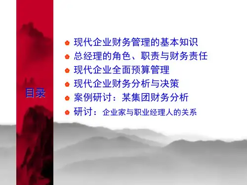 总经理的财务管理财务分析与管理95页PPT