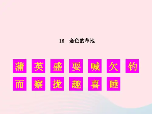 三年级语文上册第五单元16《金色的草地》生字教学课件新人教版