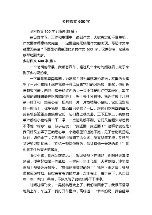 乡村作文600字（精选35篇）