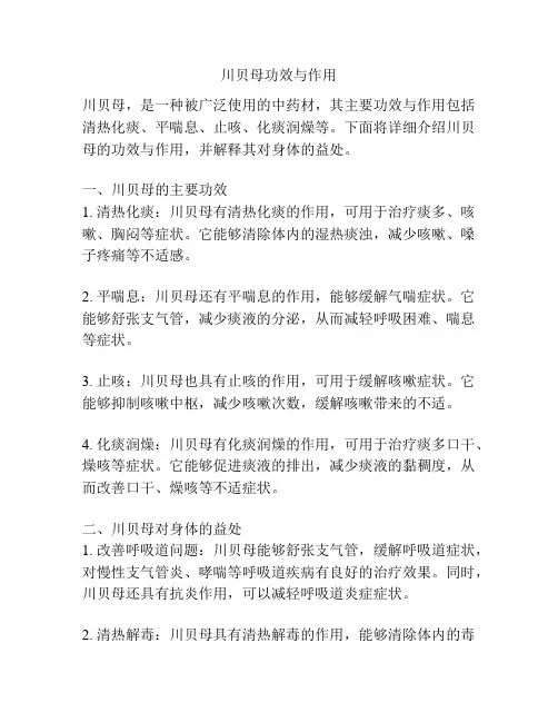 川贝母功效与作用
