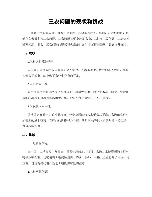 三农问题的现状和挑战