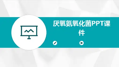 厌氧氨氧化菌PPT课件