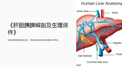 《肝胆胰脾解剖及生理课件》
