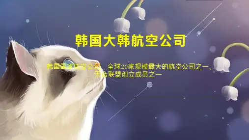 韩国大韩航空公司