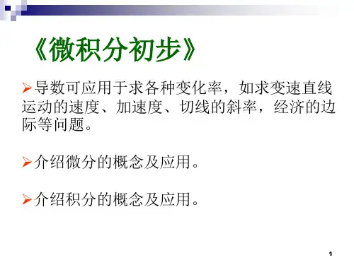 微积分初步ppt课件