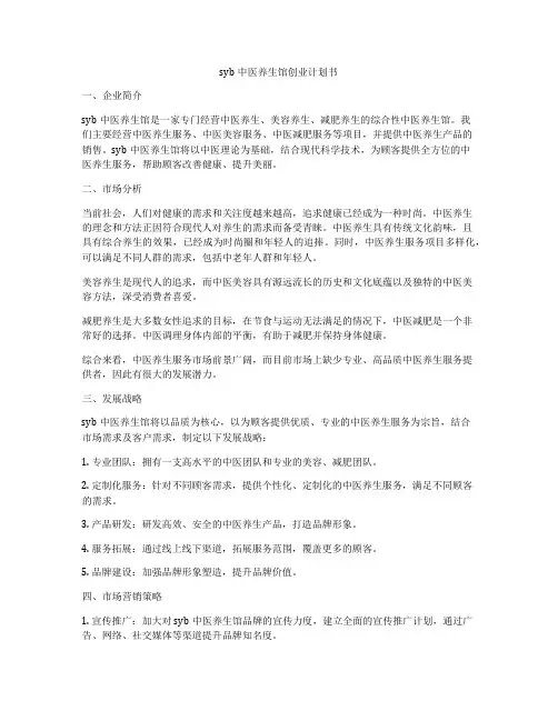 syb中医养生馆创业计划书