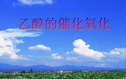 乙醇的催化氧化ppt课件